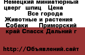 Немецкий миниатюрный(цверг) шпиц › Цена ­ 50 000 - Все города Животные и растения » Собаки   . Приморский край,Спасск-Дальний г.
